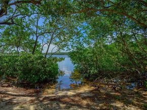 5990 Paradise Point Dr, Palmetto Bay FL 33157