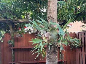 9982 SW 162nd Ct, Miami FL 33196