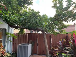 9982 SW 162nd Ct, Miami FL 33196