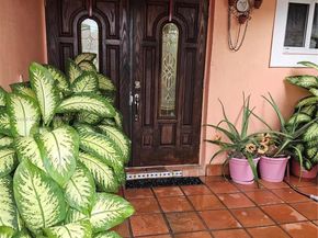 14525 SW 97th St, Miami FL 33186