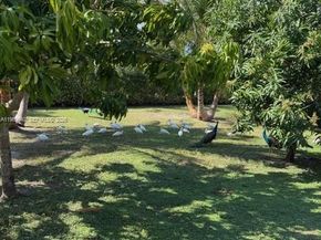 14721 SW 67th Ave, Coral Gables FL 33158