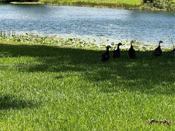 8420 SW 154th Cir Ct 536, Miami FL 33193