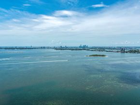 650 NE 32nd St 4206, Miami FL 33137