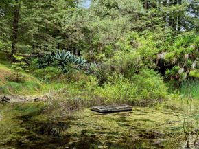 163 Buzzard Lagoon Road, Watsonville CA 95076