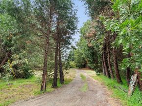 163 Buzzard Lagoon Road, Watsonville CA 95076