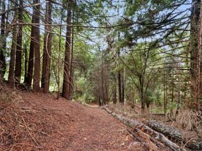 163 Buzzard Lagoon Road, Watsonville CA 95076