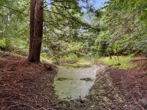 163 Buzzard Lagoon Road, Watsonville CA 95076