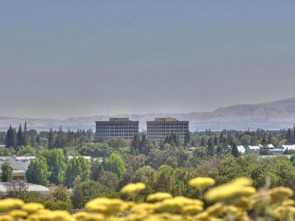 103 Peter Coutts Circle, Stanford CA 94305
