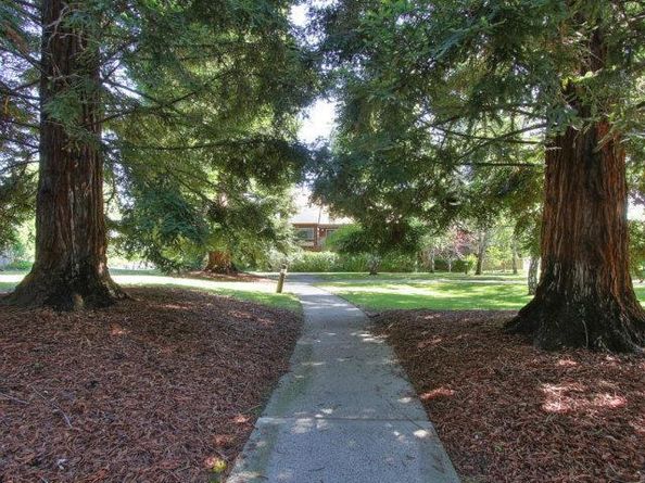 103 Peter Coutts Circle, Stanford CA 94305