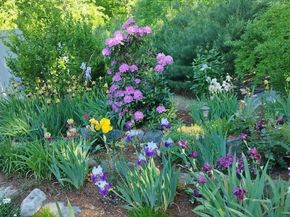 6 Silas Dr, Northborough MA 01532
