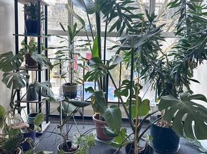 11 Cogswell Avenue 13, Cambridge MA 02140