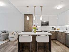 771 Harrison Ave 207, Boston MA 02118