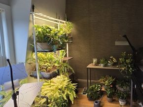 1 Jay Street, Cambridge MA 02139