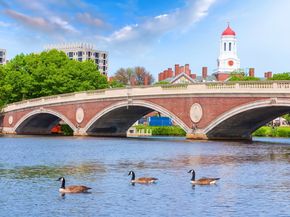 8 Franklin Street 401, Boston MA 02134