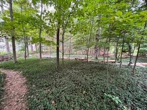18 Hill St, Lexington MA 02421