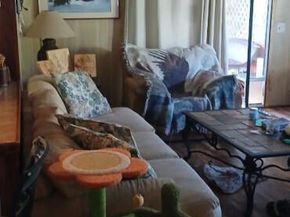 1280 Cathy Drive, West Palm Beach FL 33409