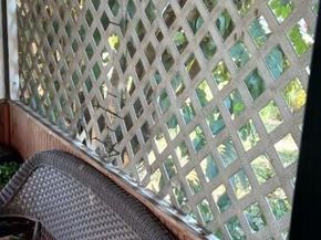 1280 Cathy Drive, West Palm Beach FL 33409