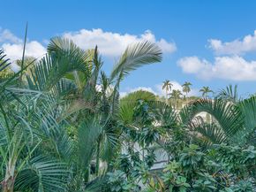 223 Atlantic Avenue 3f, Palm Beach FL 33480