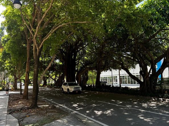 3410 Coral Way 804, Miami FL 33145