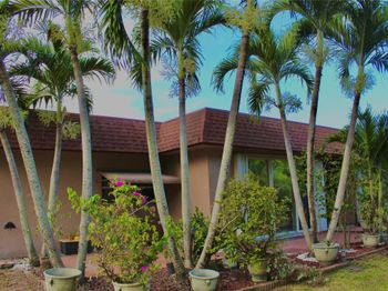 1906 Palmland Dr