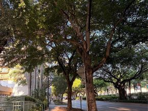 3500 Coral Way 1011, Miami FL 33145