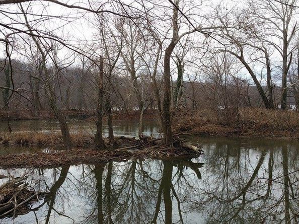 4 Russell Road, Cabin John MD 20818