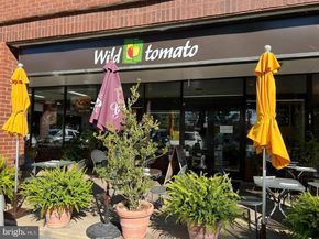 4 Russell Road, Cabin John MD 20818