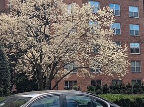 4000 Cathedral Avenue NW 607B, Washington DC 20016