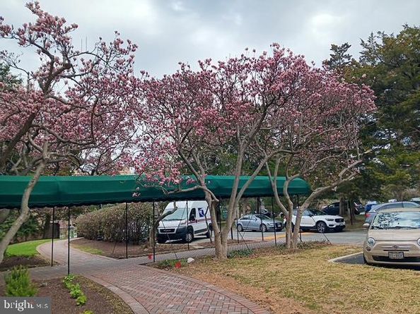 4000 Cathedral Avenue NW 607B, Washington DC 20016