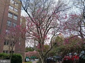 4000 Cathedral Avenue NW 607B, Washington DC 20016
