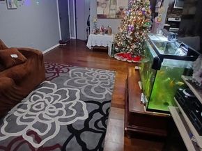 511 N Armistead Street 303, Alexandria VA 22312