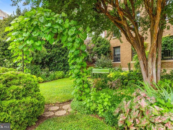 1101 L Street NW 102, Washington DC 20005