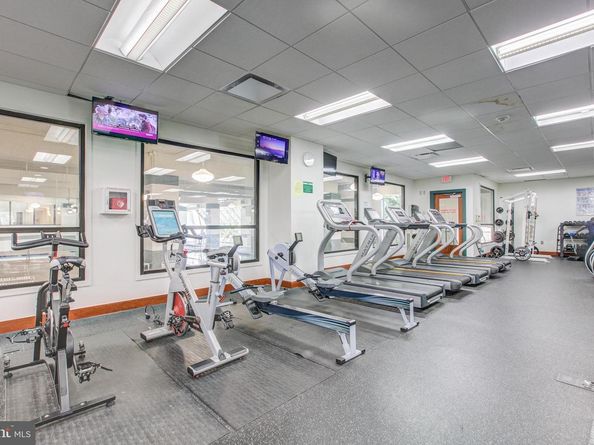 203 Yoakum Parkway 519, Alexandria VA 22304