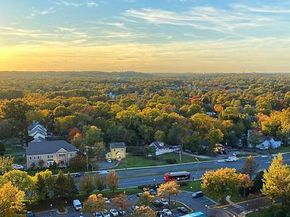 5501 Seminary Road 1703S, Falls Church VA 22041