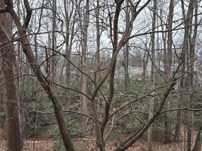 1537 Church Hill Place 1537, Reston VA 20194