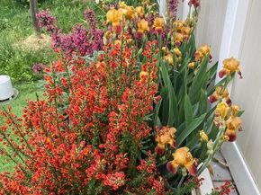 813 Piermont Street, Philadelphia PA 19116