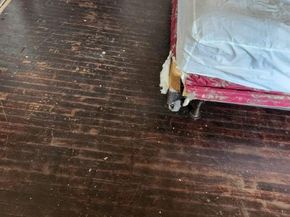 3148 Barnett Street, Philadelphia PA 19149