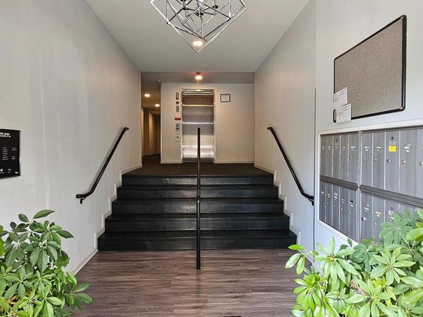 1429 Girard Street NW 205, Washington DC 20009