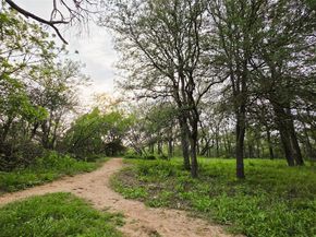 6810 Deatonhill DR 211, Austin TX 78745