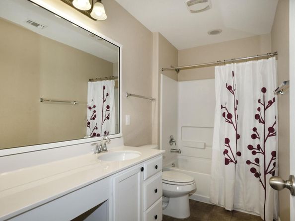 1244 Yellow Iris RD, Leander TX 78641