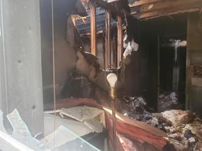 1805 McKinley Ave, Austin TX 78702