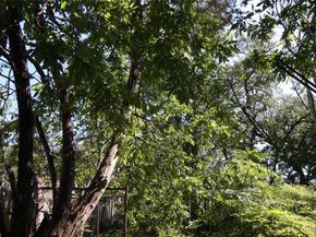 7806 & 7804 Indian Ridge DR, Austin TX 78737