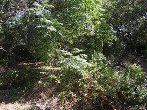 7806 & 7804 Indian Ridge DR, Austin TX 78737