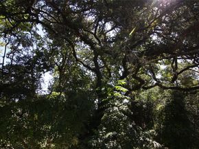 7806 & 7804 Indian Ridge DR, Austin TX 78737