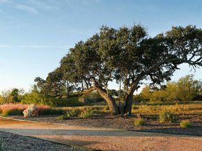 2453 Ambling TRL, Georgetown TX 78628
