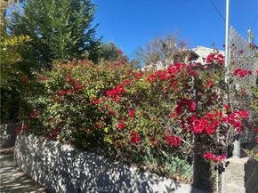 43 Palmetto, Pasadena CA 91105