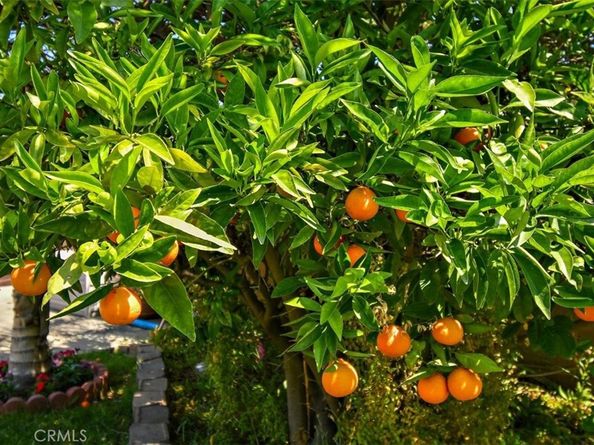 2335 N San Antonio Avenue, Upland CA 91784