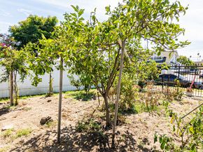 1559 W 49th Street, Los Angeles CA 90062