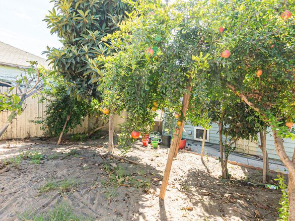 1559 W 49th Street, Los Angeles CA 90062