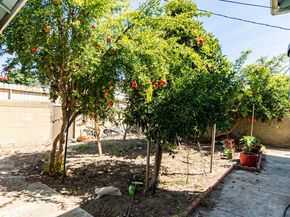 1559 W 49th Street, Los Angeles CA 90062